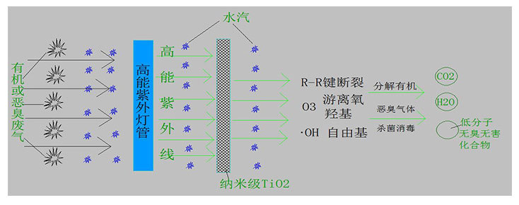 有机废气怎么处理才能达标？